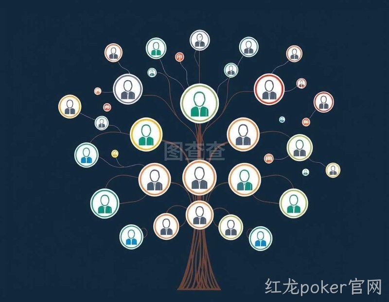 网络营销选购指南:掌握在线营销的钥匙